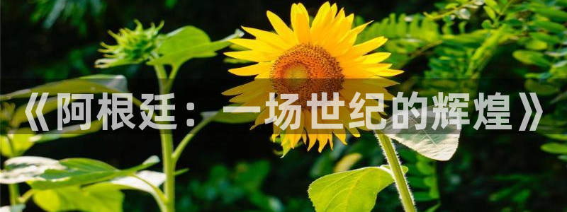 世界杯欧洲预选赛赛程：《阿根廷：一场世纪的辉煌》