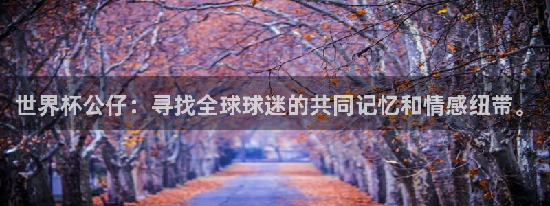 世界杯直播免费观看：世界杯公仔：寻找全球球迷的共同记忆和情感纽带。