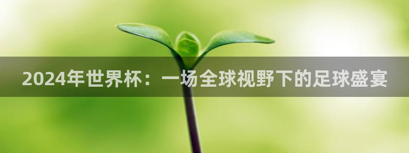 世界杯今年：2024年世界杯：一场全球视野下的足球盛宴