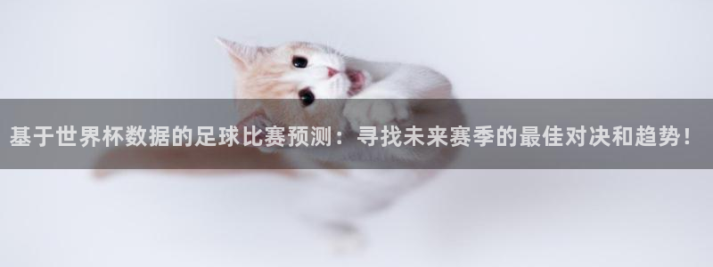 世界杯第一场比赛：基于世界杯数据的足球比赛预测：寻找未来赛季的最佳对决和趋势！