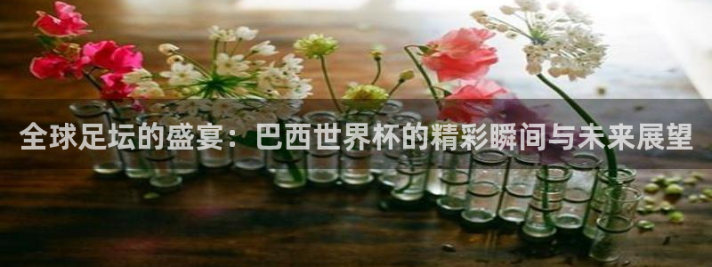 2026足球世界杯：全球足坛的盛宴：巴西世界杯的精彩瞬间与未来展望