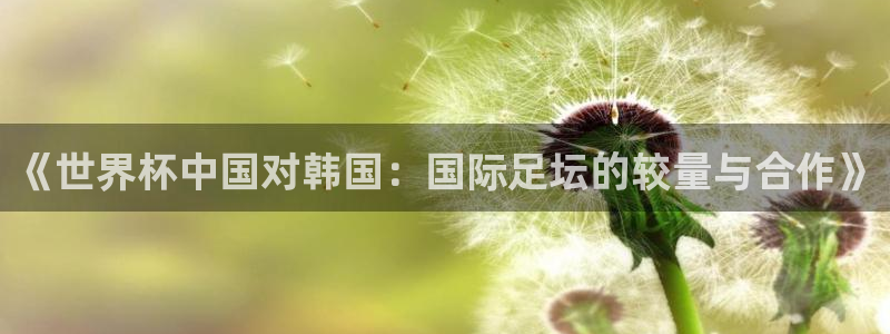 欧洲世界杯预选赛赛程：《世界杯中国对韩国：国际足坛的较量与合作》