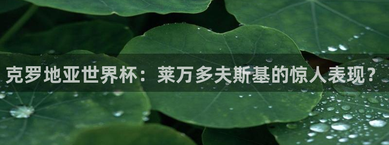 世界杯官网：克罗地亚世界杯：莱万多夫斯基的惊人表现？