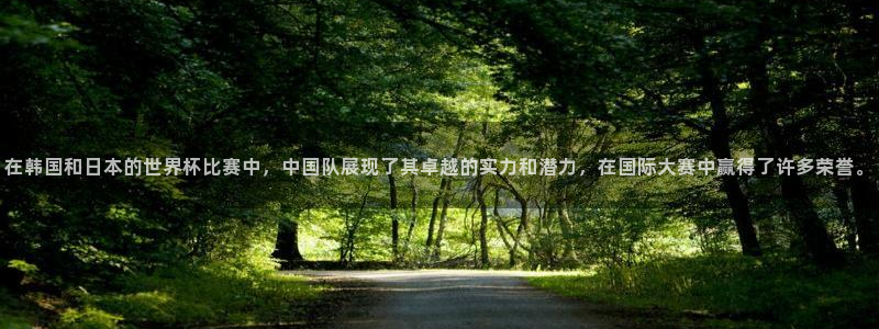 足球世界杯：在韩国和日本的世界杯比赛中，中国队展现了其卓越的实力和潜力，在国际大赛中赢得了许多荣誉。