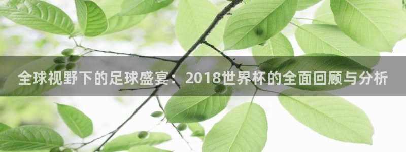 今年世界杯：全球视野下的足球盛宴：2018世界杯的全面回顾与分析