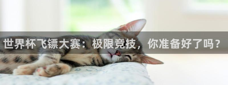 世预赛欧洲赛程表：世界杯飞镖大赛：极限竞技，你准备好了吗？