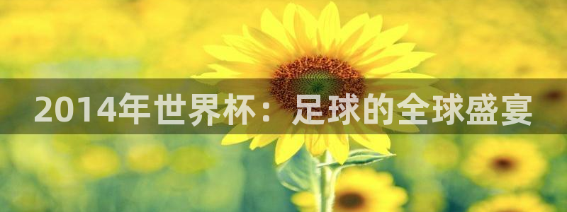 世界杯葡萄牙赛程：2014年世界杯：足球的全球盛宴