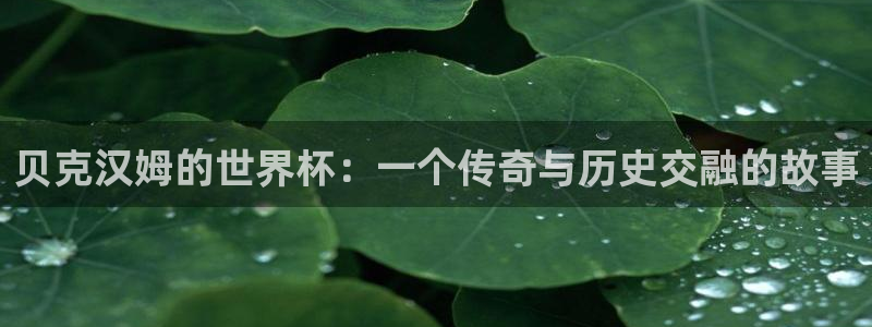 世界杯直播观看：贝克汉姆的世界杯：一个传奇与历史交融的故事