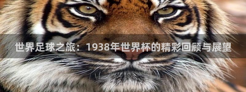 世预赛免费直播入口：世界足球之旅：1938年世界杯的精彩回顾与展望